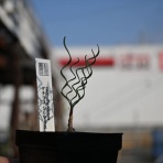 多肉屋　たなか