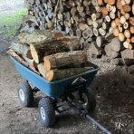 かえるのひとりごと