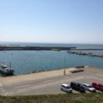 セルベージャ・ブログ