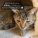 山口県下松市のピアノ教室　ミュージックハウス•カンタービレのブログ