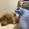 1日雨でした。