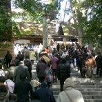 人間僅か五十年