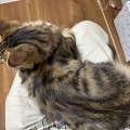 にぼしちゃん、はじめまして
