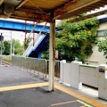 秋の長雨むつみライブ