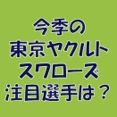 2026年の注目選手　東京ヤクルトスワローズ編