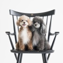 違いは「１つ」だけ。人生でうまくいく人と、ダメな人の差とは？