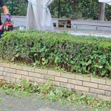 『あれれッ?なんかヘン!』の画像
