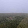 霧中を駆ける【夏スプ下見報告】