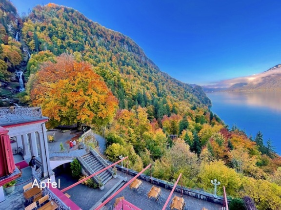高台からの絶景!グランドホテル・ギースバッハ🇨🇭(後半)