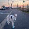 日向ぼっこ。