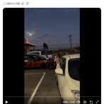 【悲報】元カレの車をボコボコにした金持ち美女、逃走を図るも呆気なく捕まるｗｗｗｗ