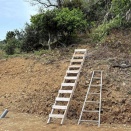 ジイさんのハシゴ