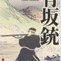 【新作ゲーム紹介】激闘！聯合艦隊1894-1905 - なぜ東郷提督は、敵前大回頭を選んだのか