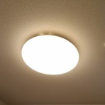 天才みにまりすと