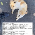 ⁉️テレ東・田中瞳アナが苦言 「面識のない方々にカメラを向けられることに恐怖を」　ロケ撮影時に勝手に撮影してくる人に注意喚起 -2chまとめ-