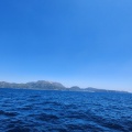 5月16日　釣果　神津島