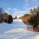 2026シーズン_スキー6_やわた191