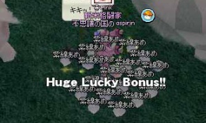 紫綿あめがHuge Lucky Bonus!!!!ヾ(ﾟ(ﾟ∀｡)ﾟ)ﾉ゛