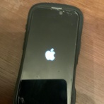 【悲報】日本人の知能、終わる