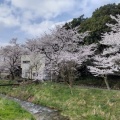 阿賀野市も さくら満開！
