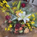 時々ブログ(ななとの新生活日記＆サラとの新生活日記＆ラフィとあみの帰ったらごはん）