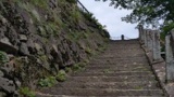 ねこを見に公園へ来たのだ（※画像あり）