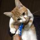 高２の頃、暗い感じのＡさんはいつもギャルにからかわれていた。ギャル達「Ａさん、朔ちゃんに恋してるでしょ！」「告っちゃいなよ！ｗ」Ａ「私と付き合いますか？」朔ちゃん「○○」