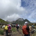ミヤマキリシマを見に山登りしてきました