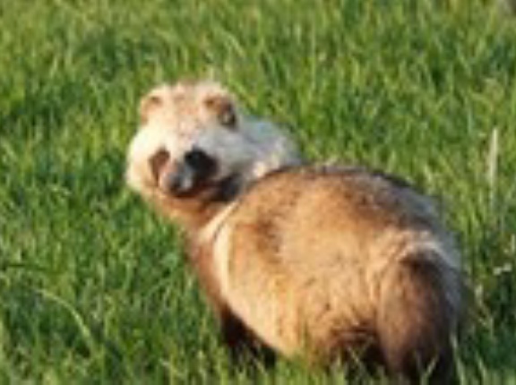 為替王ホロスコープ