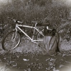 F・Fとしての証