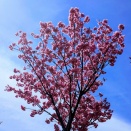 ずっと悩んでた手荒れ…やっと病名がわかりました