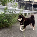 ギンちゃん♪