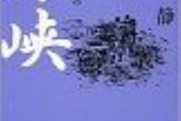 書籍 : Tsuyoshi Domoto --堂本剛さん その軌跡 --
