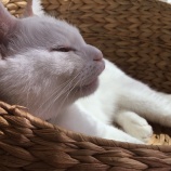 地道な努力が報われた？話