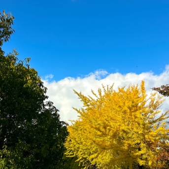 圧倒的な安心感を持って生きていく。