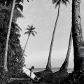 A short film celebrating Riku Matsumoto joining the HAYDENSHAPES　”JUNGLE BRAIN”