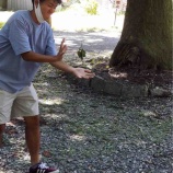 『濃い1年にするため(北野将隆) 』の画像