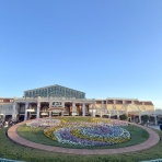 しるこのゆるーりディズニー備忘録