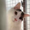 ドアップでナデナデ