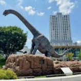 『京都・福井旅行記④「29日」』の画像