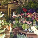 私からお父さんとお母さんに少しだけ😌…聞いて下さい。