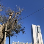 すっとこどすこい株投資