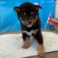 こんにちは♪