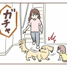 不法侵入⁉︎警察呼んだ話【3】