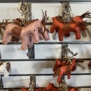 【写真日記】2025年11月