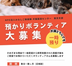 保護犬や保護猫を預かってみませんか？