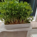 『のんびりとした時間、過ぎ行く時間』の画像