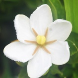 『老いの覚悟と生き方Ⅱ(5650回記念)(36)「80歳の壁・実践編(5)」』の画像