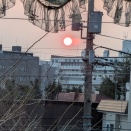 朝日が真っ赤です。