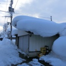 本日も臨時休業だよぉ【秋田の地酒 高良酒屋】